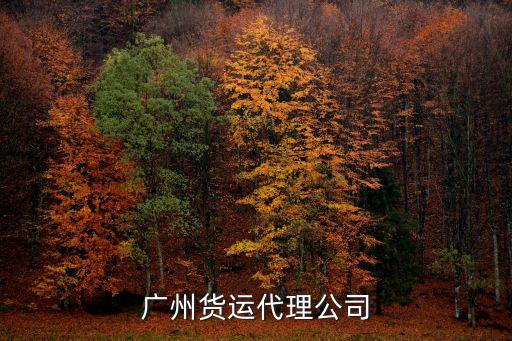 廣州超捷貨運代理有限公司，廣州有哪些貨運代理公司呢