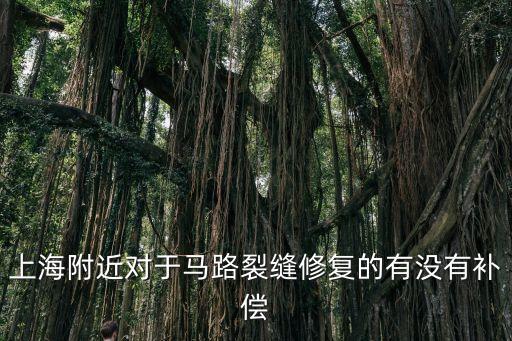 上海市城市道路掘路修復(fù)，上海附近對(duì)于馬路裂縫修復(fù)的有沒(méi)有補(bǔ)償