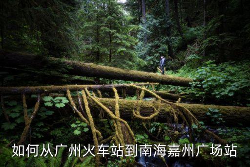 廣州到黃岐嘉州廣場坐幾路車，廣州站去佛山南海區黃岐嘉州廣場怎么坐車