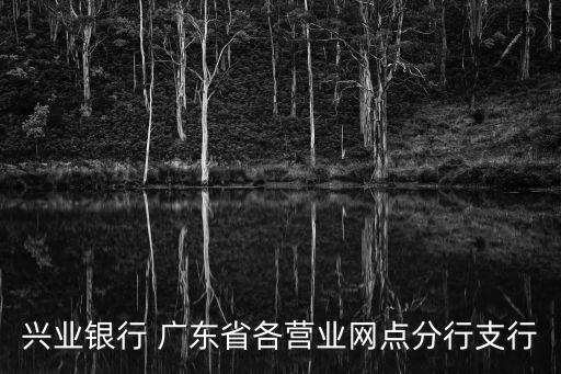 興業(yè)銀行 廣東省各營業(yè)網(wǎng)點分行支行