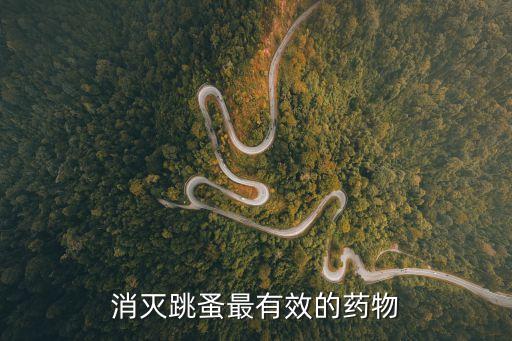 消滅跳蚤最有效的藥物
