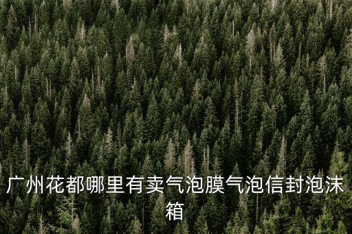 廣州花都哪里有賣氣泡膜氣泡信封泡沫箱