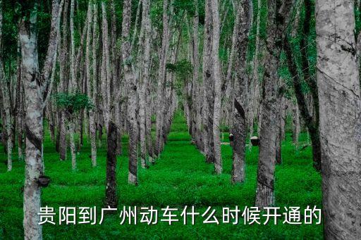 廣州南至貴陽動車什么時候開通，貴陽到廣州動車什么時候開通的
