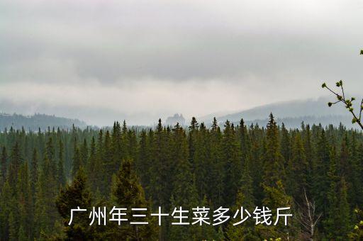 廣州年三十生菜多少錢斤