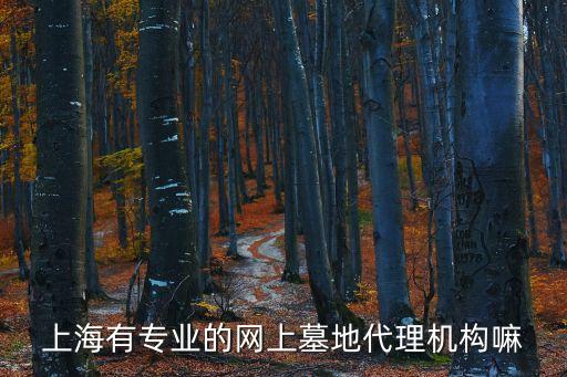 上海市周邊值得買的墓地服務平臺，上海墓地如何購買應該去哪里聯系購買啊另外哪家墓地口碑比較