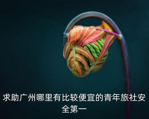 求助廣州哪里有比較便宜的青年旅社安全第一