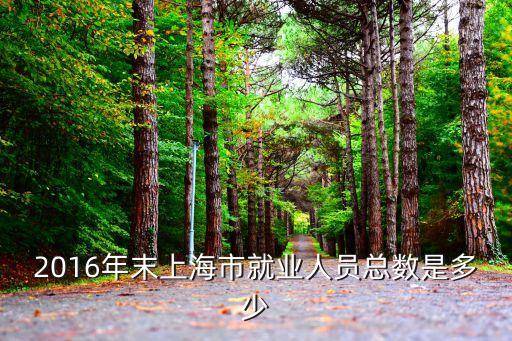 上海市2016年統(tǒng)計年鑒，2016年末上海市就業(yè)人員總數(shù)是多少