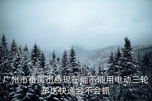 廣州快遞三輪車，請(qǐng)問(wèn)在廣州送快遞可以騎電動(dòng)三輪車嗎