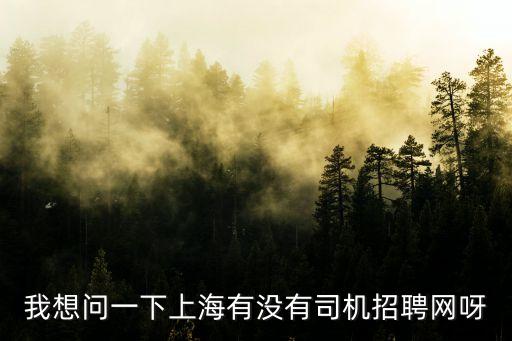 上海市工程車司機(jī)招聘信息網(wǎng)，我想問(wèn)一下上海有沒(méi)有司機(jī)招聘網(wǎng)呀