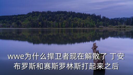 wwe為什么捍衛者現在解散了 丁安布羅斯和賽斯羅林斯打起來之后