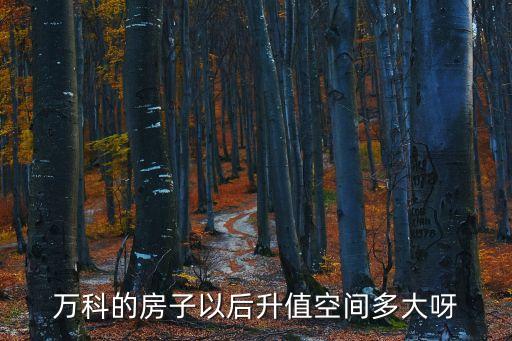 萬科的房子以后升值空間多大呀