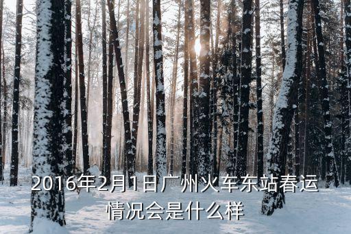 2016年2月1日廣州火車東站春運情況會是什么樣