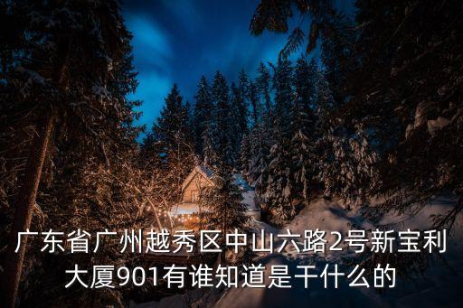 廣東省廣州越秀區(qū)中山六路2號(hào)新寶利大廈901有誰(shuí)知道是干什么的