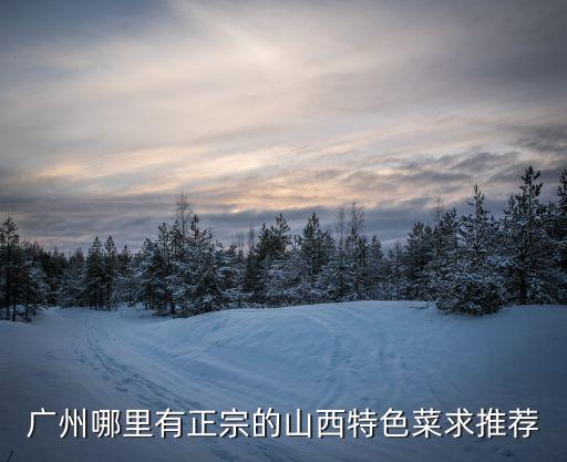 廣州哪里有正宗的山西特色菜求推薦