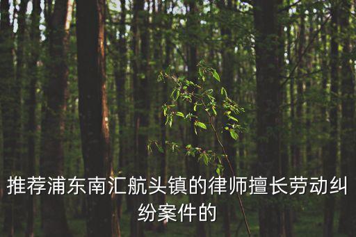 推薦浦東南匯航頭鎮(zhèn)的律師擅長勞動(dòng)糾紛案件的