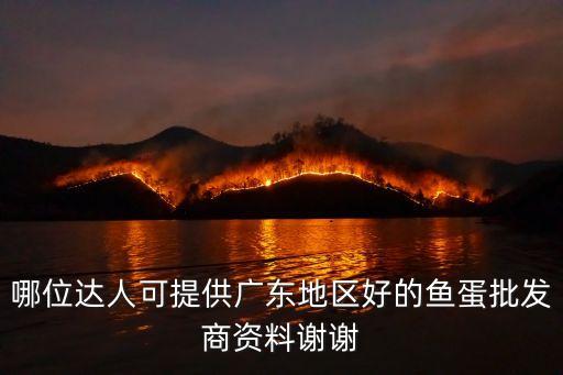廣州批發魚蛋，哪位達人可提供廣東地區好的魚蛋批發商資料謝謝