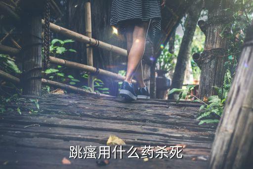 廣州殺滅跳蚤最有效的藥物，消滅跳蚤最有效的藥物