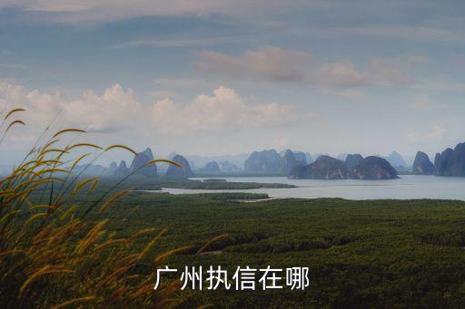 迪安執(zhí)信醫(yī)療在廣州的分公司，廣州執(zhí)信在哪
