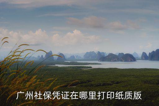廣州打印社保清單地址，廣州社保憑證在哪里打印紙質(zhì)版