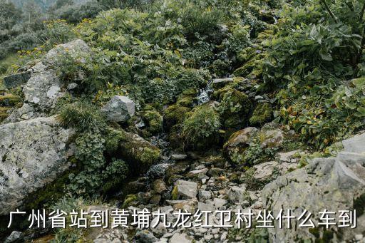 廣州省站到黃埔九龍紅衛村坐什么車到