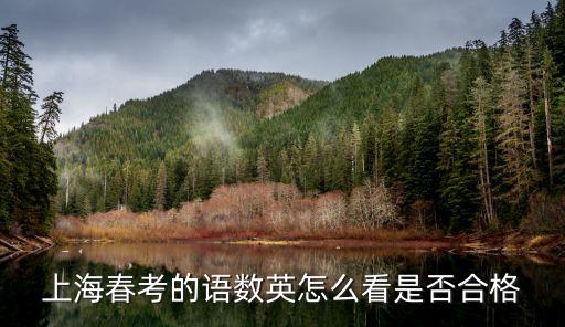 上海市春考成績查詢，上海春考的語數(shù)英怎么看是否合格