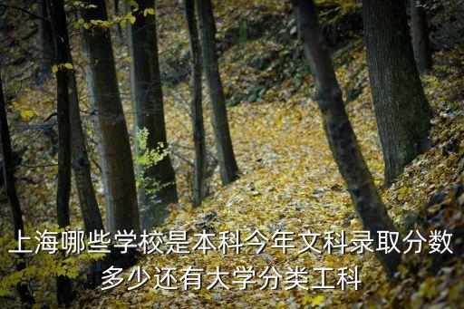 上海哪些學(xué)校是本科今年文科錄取分?jǐn)?shù)多少還有大學(xué)分類工科