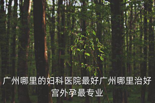 廣州最權威婦科醫院確選建國犀利，廣州哪里的婦科醫院最好廣州哪里治好宮外孕最專業
