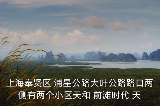 上海奉賢區(qū) 浦星公路大葉公路路口兩側(cè)有兩個(gè)小區(qū)天和 前灘時(shí)代 天