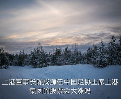上港董事長(zhǎng)陳戌源任中國(guó)足協(xié)主席上港集團(tuán)的股票會(huì)大漲嗎