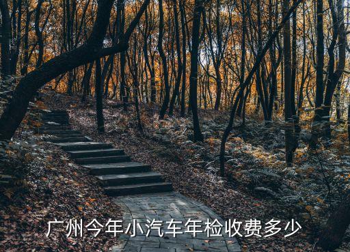 廣州市汽車檢測收費，廣州目前小車年審檢測費是多少呢據說采用新的尾氣檢測之后比以前