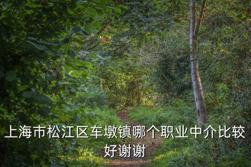 上海市松江區車墩鎮哪個職業中介比較好謝謝