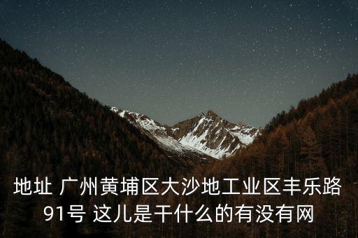 地址 廣州黃埔區大沙地工業區豐樂路91號 這兒是干什么的有沒有網