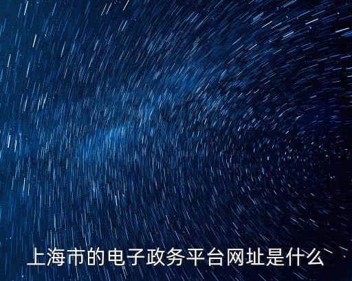 上海市政務平臺，上海市的電子政務平臺網址是什么