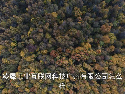 廣州凌零科技，廣州零零柒科技有限公司具體是在廣州的什么地方主營業(yè)什么項(xiàng)目