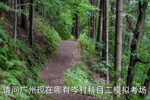 廣州市岑村科目二考場(chǎng)地址，請(qǐng)問(wèn)廣州現(xiàn)在哪有岑村科目二模擬考場(chǎng)