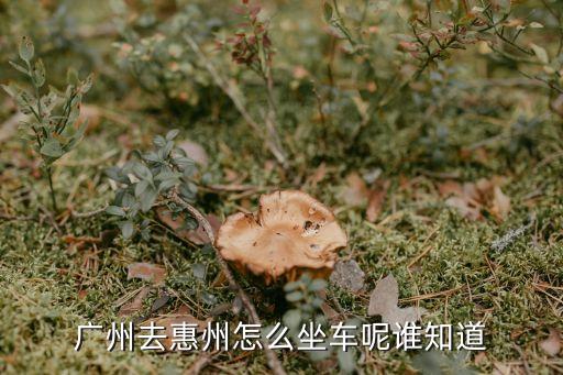 廣州車惠州江北下車點，在廣州座汽車要做到惠州哪個車站離江北近