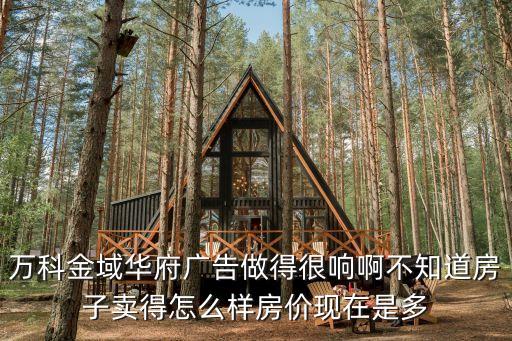 萬科金域華府廣告做得很響啊不知道房子賣得怎么樣房價現在是多