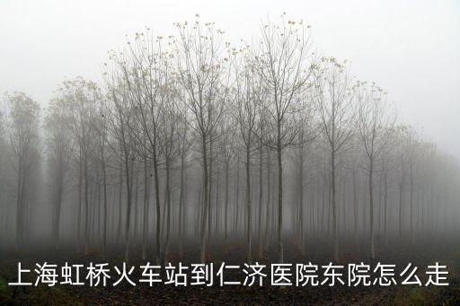 上海虹橋火車站到仁濟醫(yī)院東院怎么走