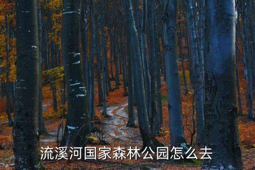 怎么去廣州流溪河竹林，流溪河國家森林公園怎么去