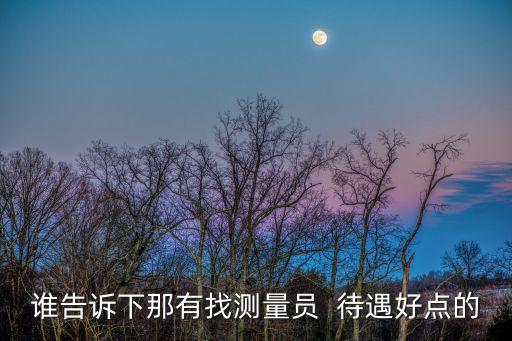上海市政測(cè)量，如何快速測(cè)試上海市井蓋個(gè)數(shù)
