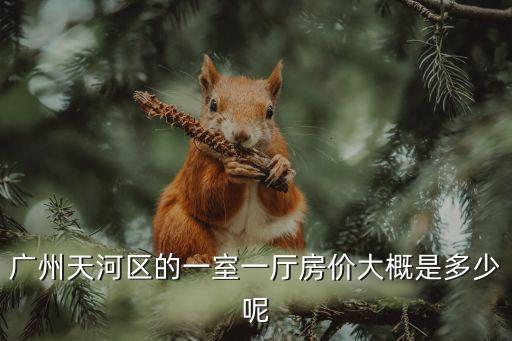 廣州天河北遠洋小區房價，廣州各個區的房價