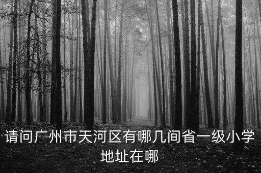 請問廣州市天河區有哪幾間省一級小學地址在哪