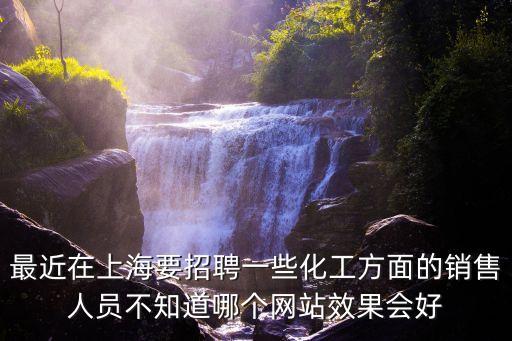 最近在上海要招聘一些化工方面的銷售人員不知道哪個網站效果會好