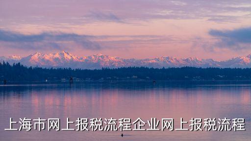 上海市報(bào)稅u，稅務(wù)ukey報(bào)稅的步驟流程表