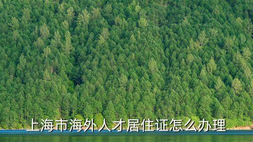 上海市海外人才居住證怎么辦理