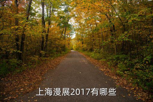 2017年上海市漫展，2017年的上海漫展有哪些