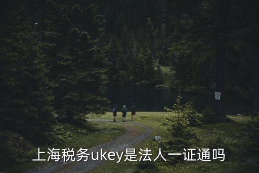 上海稅務ukey是法人一證通嗎
