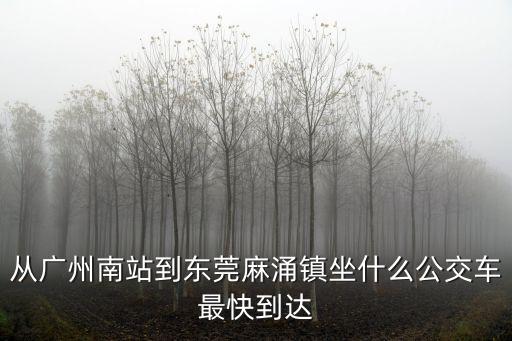 廣州南站東莞麻涌鎮(zhèn)坐什么車方便，從廣州坐什么車到東莞麻涌鎮(zhèn)最快