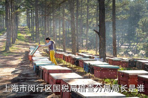 上海市閔行區(qū)國(guó)稅局稽查分局局長(zhǎng)是誰(shuí)