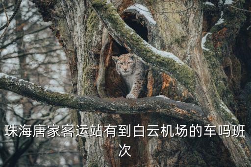 珠海唐家客運(yùn)站有到白云機(jī)場(chǎng)的車嗎班次